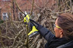   Ryobi ONE+ HP RY18SCXA-120T 18  12  d  28 0.83  5133005788 -  5