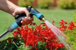 Cellfast �������� ���������� ��� IDEAL, ������, ������ ����������� 52-020 - �������� 2