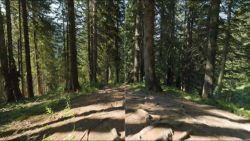 ����. ���������� Canon EOS R6 Mark II + RF 24-105 f/4.0 L IS 5666C029 - �������� 14