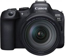 .  Canon EOS R6 Mark II + RF 24-105 f/4.0 L IS 5666C029 -  1