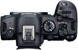 .  Canon EOS R6 Mark II + RF 24-105 f/4.0 L IS 5666C029 -  21