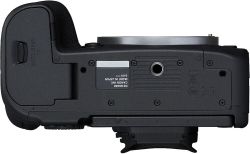 .  Canon EOS R6 Mark II + RF 24-105 f/4.0 L IS 5666C029 -  22