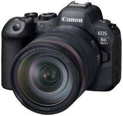 .  Canon EOS R6 Mark II + RF 24-105 f/4.0 L IS 5666C029 -  17