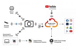 Canon ������� ���������� EOS R8 + RF 24-50mm f/4.5-6.3 IS STM 5803C016 - �������� 16