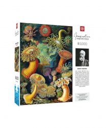  Imagination: Ernst Haeckel: Sea Anemones/Stworzenia morskie Puzzles 1000 . 5908305244943