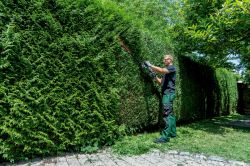 Metabo ������� ������������� HS 18 LTX BL 75, 18�, 75��, ���� ��� 21��, ������ ��� 70��, 4.4��, ��� ��� �� �� 601724850 - �������� 10