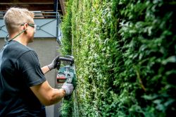 Metabo ������� ������������� HS 18 LTX BL 75, 18�, 75��, ���� ��� 21��, ������ ��� 70��, 4.4��, ��� ��� �� �� 601724850 - �������� 5