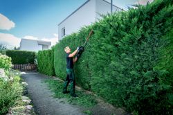 Metabo ������� ������������� HS 18 LTX BL 75, 18�, 75��, ���� ��� 21��, ������ ��� 70��, 4.4��, ��� ��� �� �� 601724850 - �������� 4