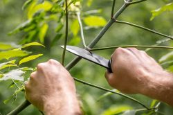 ��� ����������� Neo Tools, 220 ��, ������ 108 ��, 3Cr13, ���������� ����� 63-108 - �������� 4