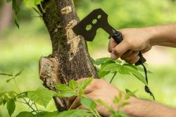 Neo Tools 63-118 ������ ����������, 26��, ���� 8��, 3Cr13, ����� � ���������, ���������� �����, 3 ������ ��� ������������ ������ M10, M13, M16 63-118 - �������� 9