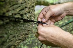 Neo Tools 63-118 ������ ����������, 26��, ���� 8��, 3Cr13, ����� � ���������, ���������� �����, 3 ������ ��� ������������ ������ M10, M13, M16 63-118 - �������� 8