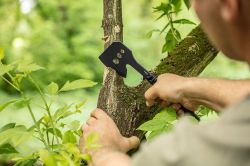 Neo Tools 63-118 ������ ����������, 26��, ���� 8��, 3Cr13, ����� � ���������, ���������� �����, 3 ������ ��� ������������ ������ M10, M13, M16 63-118 - �������� 7