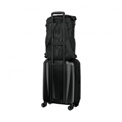 ������ ��� �������� Wenger Urban One Roll-Top 15.6" ������ 653890 - �������� 6