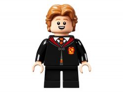  LEGO Harry Potter :   76389 -  24