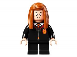  LEGO Harry Potter :   76389 -  19