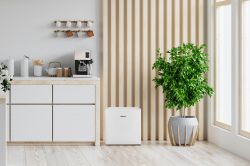 Холодильна камера ARDESTO, 49.2x47.2х45, 43л, А+, ST, білий DFM-50W - Картинка 3