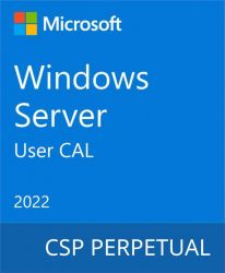 Microsoft Windows Server 2022 - 1 User CAL DG7GMGF0D5VX-0007 -  1