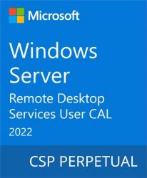 Microsoft Windows Server 2022 Remote Desktop Services - 1 User CAL DG7GMGF0D7HX-0009 -  1