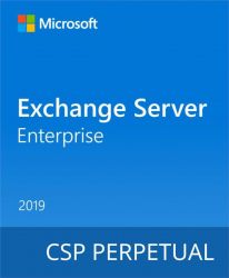 Microsoft Exchange Server Enterprise 2019 DG7GMGF0F4MF-0003 -  1