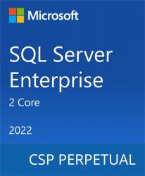  Microsoft SQL Server 2022 Enterprise Core - 2 Core License Pack DG7GMGF0M7XV-0003