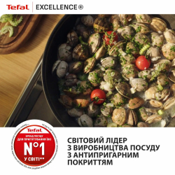 � �������� Tefal Excellence+, � �������, 24��, �������, ����, ������, ������ G3308802 - �������� 12