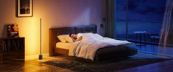 Торшер умный Govee H6079, 1500Lm, RGBICW, with speaker, WI-FI/Bluetooth, черный H6079312 - Картинка 13