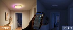 ���������� ���������� Govee 38cm Smart Ceiling Light Pro, RGBICWW, WI-FI/Bluetooth, ���� H60A6C01 - �������� 10