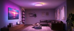 ���������� ���������� Govee 38cm Smart Ceiling Light Pro, RGBICWW, WI-FI/Bluetooth, ���� H60A6C01 - �������� 8