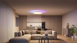 ���������� ���������� Govee 38cm Smart Ceiling Light Pro, RGBICWW, WI-FI/Bluetooth, ���� H60A6C01 - �������� 3
