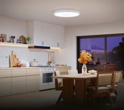���������� ���������� Govee 38cm Smart Ceiling Light Pro, RGBICWW, WI-FI/Bluetooth, ���� H60A6C01 - �������� 2