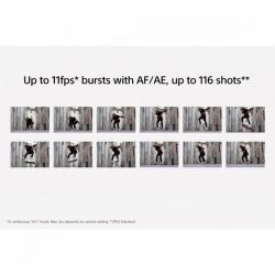 ����. ���������� Sony Alpha 6400 Body Black ILCE6400B.CEC - �������� 17