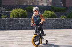 ������ ��� ���������� Janod ������� J03286-2 - �������� 2