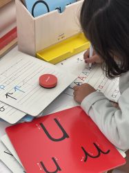 ����������� ���� Janod ���� ���������� ������� J05074 - �������� 5