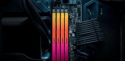   Kingston DDR5  16GB 6000 FURY Renegade RGB KF560C32RSA-16 -  11