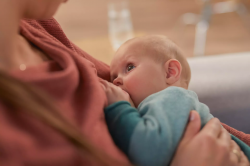 Avent     115 SCF430/10 -  10