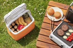 .   SCM 1122, 22 ,  SCM1122 -  10