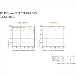  Sony 100mm, f/2.8 STF GM OSS   NEX FF SEL100F28GM.SYX -  7