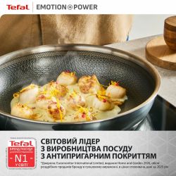 � ��������� Tefal Emotion+ Power, 24��, � �������, ��������� �����, ���������-�������, ��������� �����, ������, ���� SET_E3410455 - �������� 8