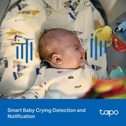 IP-Камера TP-LINK Tapo C216 3MP N300 microSD motion detection. внешняя/внутр., AI TAPO-C216 - Картинка 10