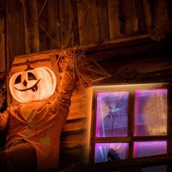 �����  ������������ Wi-Fi ����� TP-LINK TAPO-L920-5 TAPO-L920-5 - �������� 5