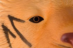 Same Toy �������-��������� ���� X305UT - �������� 3