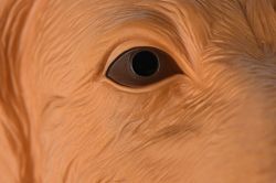 Same Toy �������-��������� �������� X307UT - �������� 3