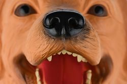 Same Toy �������-��������� �������� X307UT - �������� 2