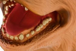 Same Toy �������-��������� �������� X307UT - �������� 4