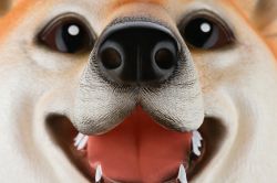 Игрушка-перчатка Same Toy Собака Акита X325UT - Картинка 3