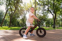 ������� Miqilong HPA ������ 12" ZCY-HPA12-BLACK - �������� 4