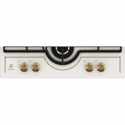 ������ �������� �������� Electrolux GPE 363 RBV - �������� 2