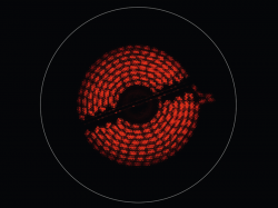 Електрична варильна поверхня ELECTROLUX EHF6547FXK - Картинка 4