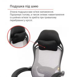 ������ ������� ����� ������ PL RL ����� (�����/������) - �������� 7