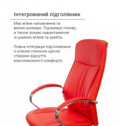 ������ ������� ����� ���� CH ANF ������� (PU-�������) - �������� 10